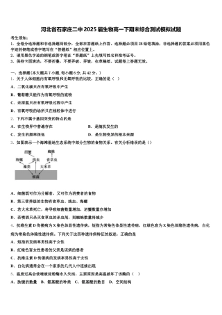 河北省石家庄二中2025届生物高一下期末综合测试模拟试题含解析