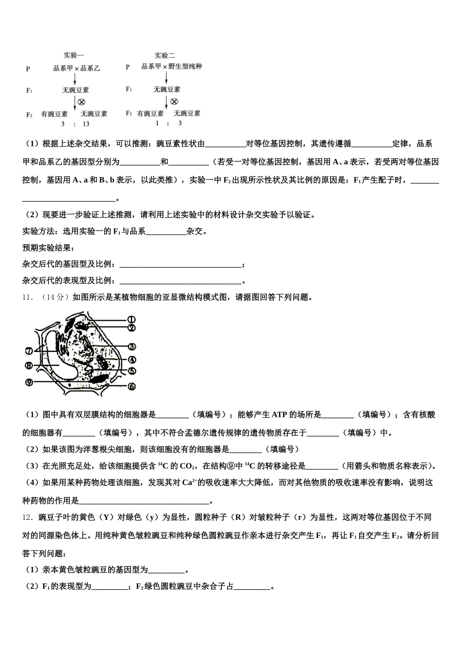 2025年河北省任丘市第一中学生物高一第二学期期末学业质量监测模拟试题含解析_第3页