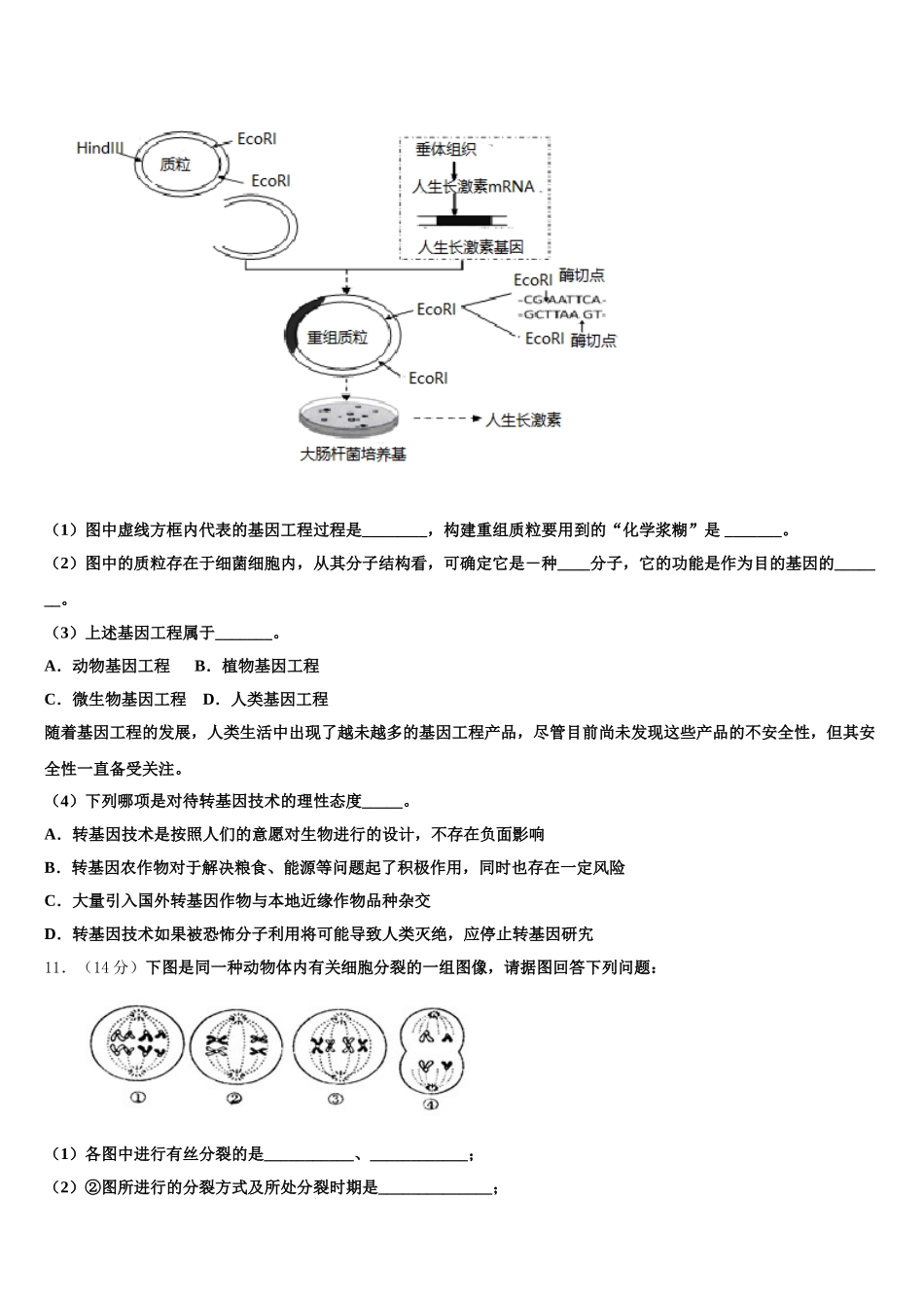 2025年河北省曲阳县一中生物高一下期末教学质量检测模拟试题含解析_第3页