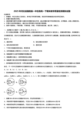 2025年河北省曲阳县一中生物高一下期末教学质量检测模拟试题含解析