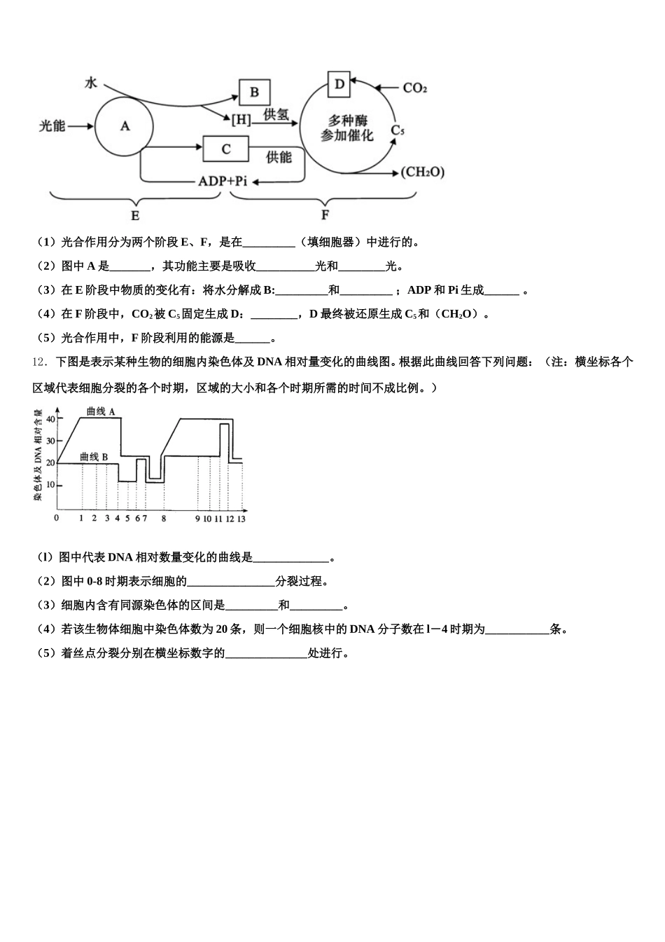 河北省唐山遵化市2024-2025学年高一生物第二学期期末学业水平测试模拟试题含解析_第3页