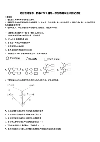 河北省河间市十四中2025届高一下生物期末达标测试试题含解析