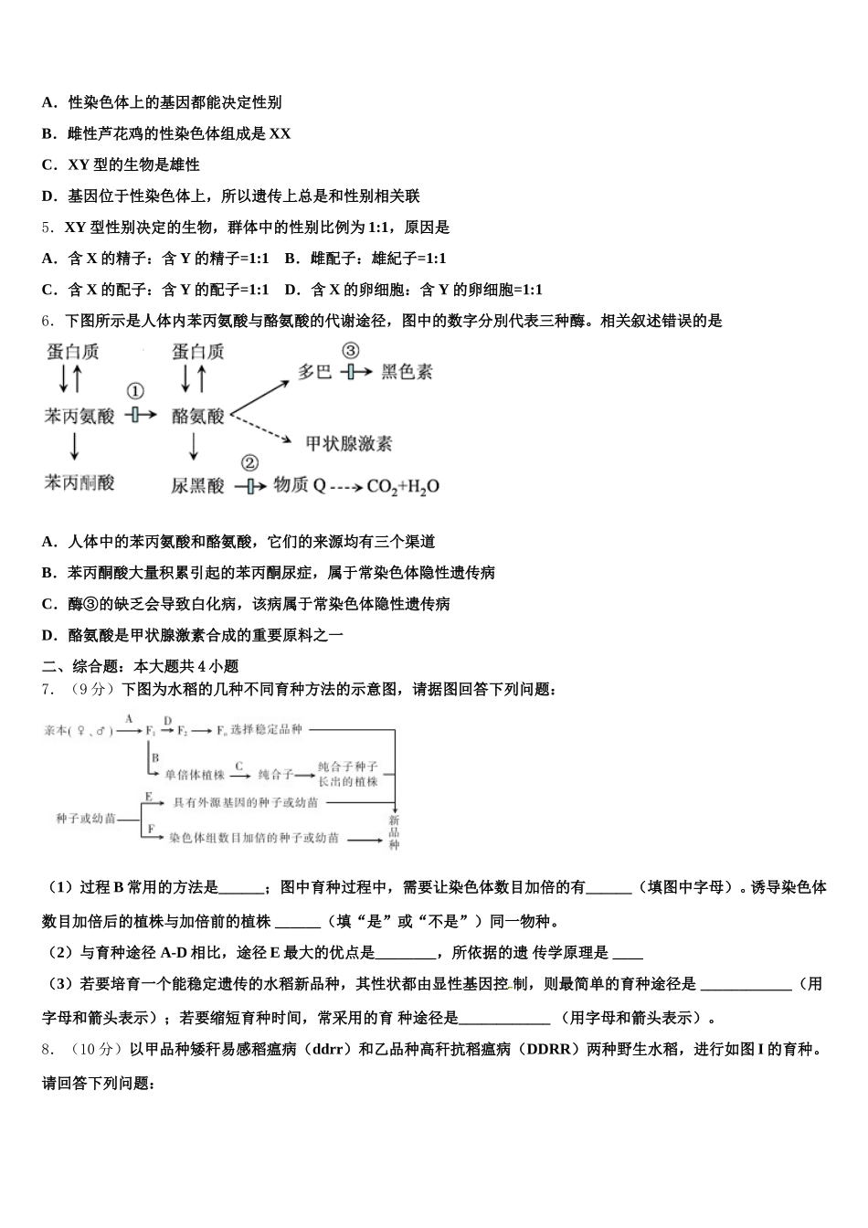 2025年石家庄市第一中学高一生物第二学期期末检测模拟试题含解析_第2页