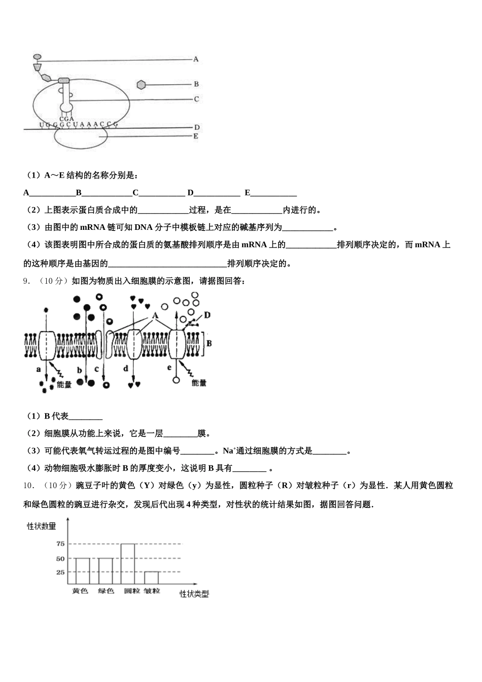 河北省秦皇岛市达标名校2025年高一下生物期末质量跟踪监视试题含解析_第2页