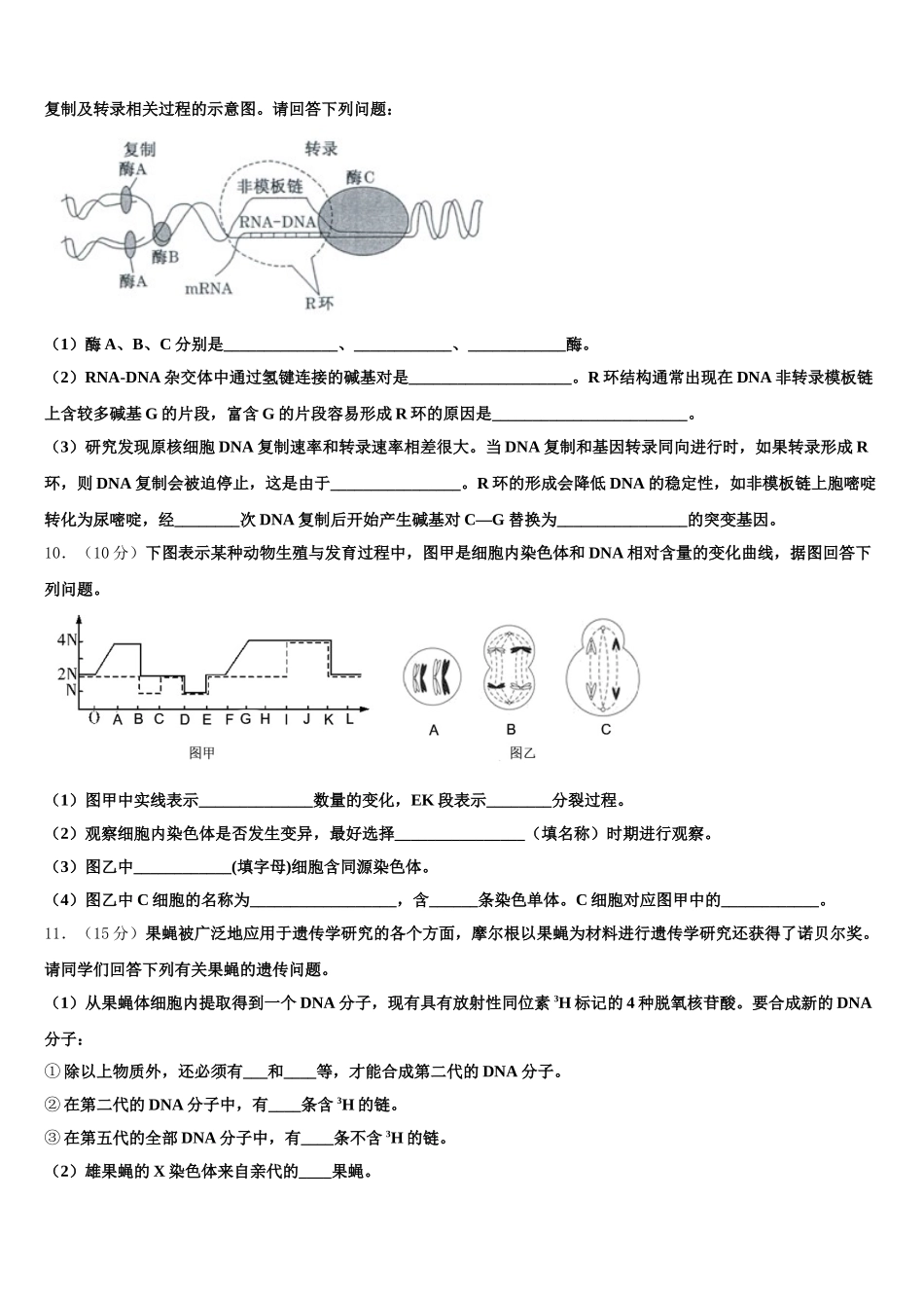河北省石家庄市第一中学2025年高一生物第二学期期末考试模拟试题含解析_第3页