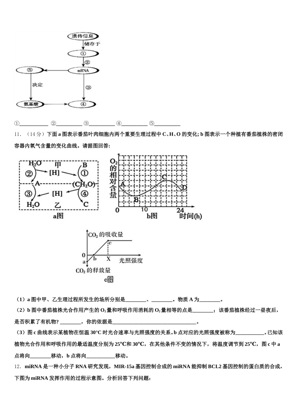 衡水金卷2025届高一下生物期末考试模拟试题含解析_第3页