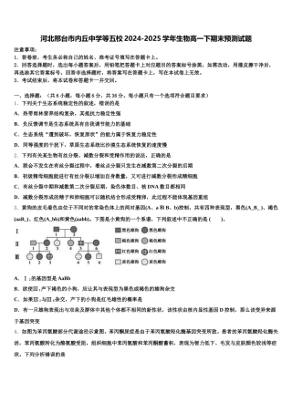 河北邢台市内丘中学等五校2024-2025学年生物高一下期末预测试题含解析