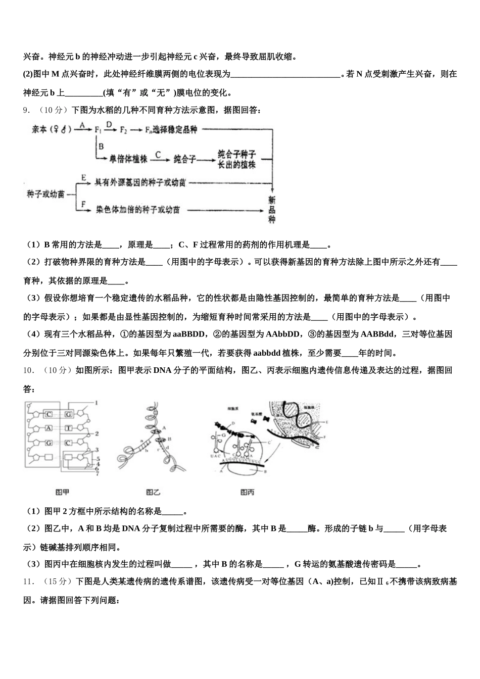 2024-2025学年河北邯郸市磁县滏滨中学生物高一下期末综合测试试题含解析_第3页