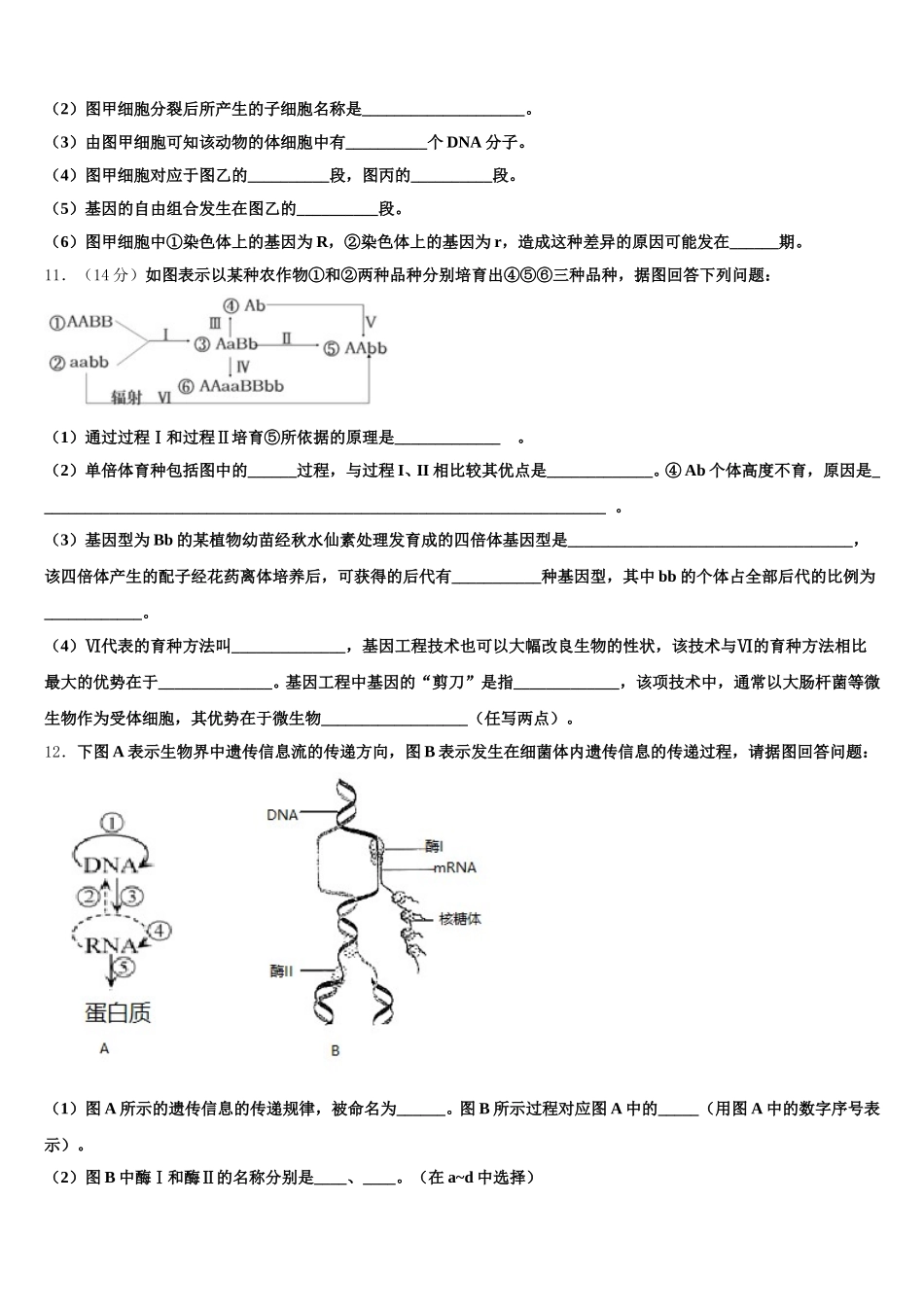 河北省衡水中学2025年生物高一第二学期期末考试模拟试题含解析_第3页