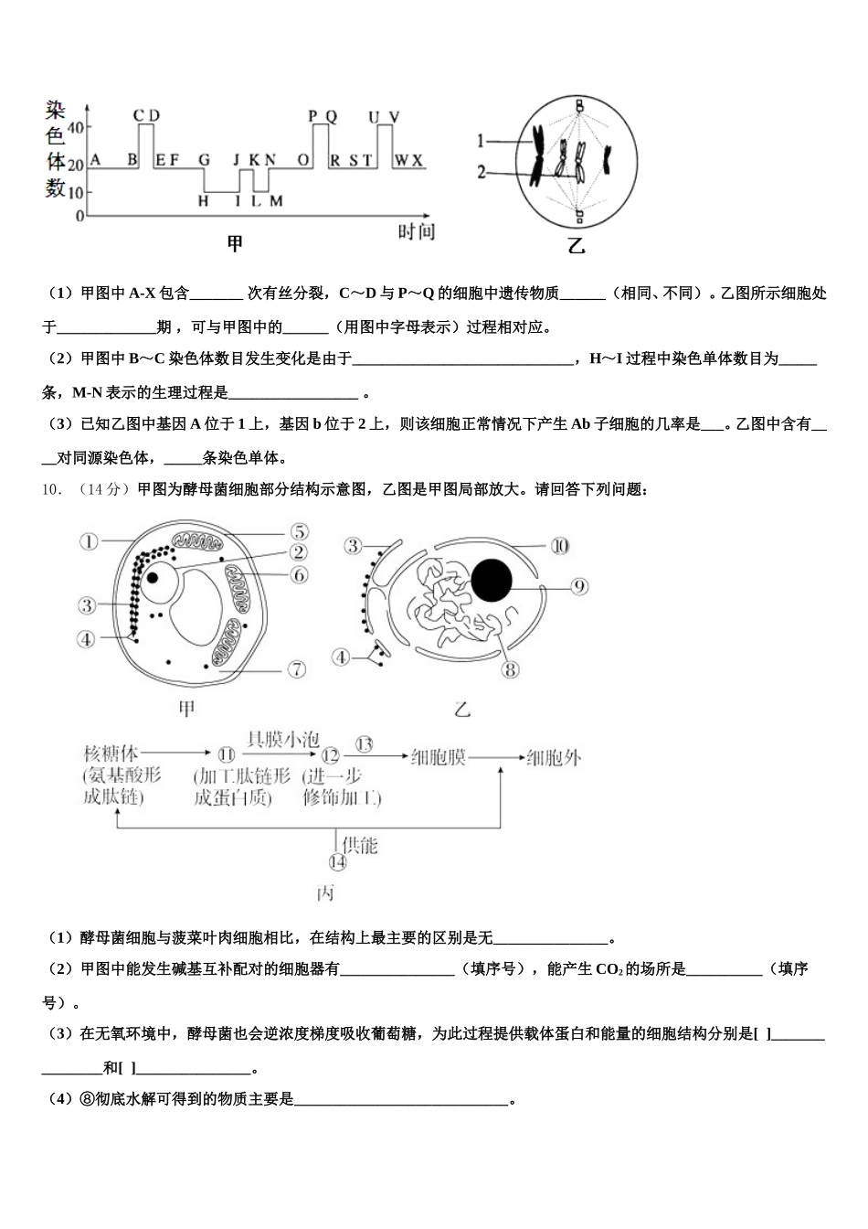 2024-2025学年河北省张家口市尚义一中高一生物第二学期期末经典试题含解析_第3页
