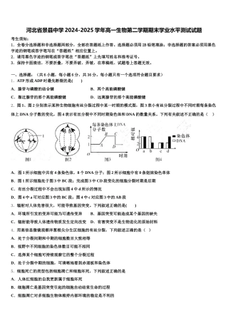 河北省景县中学2024-2025学年高一生物第二学期期末学业水平测试试题含解析