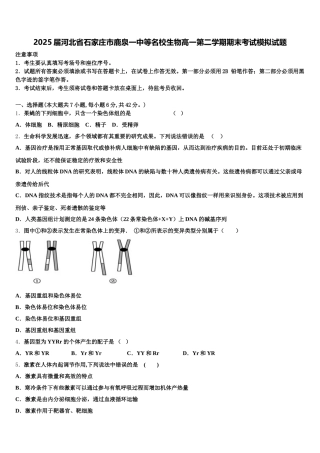 2025届河北省石家庄市鹿泉一中等名校生物高一第二学期期末考试模拟试题含解析