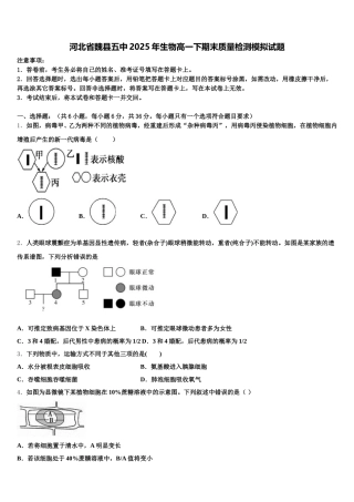 河北省魏县五中2025年生物高一下期末质量检测模拟试题含解析