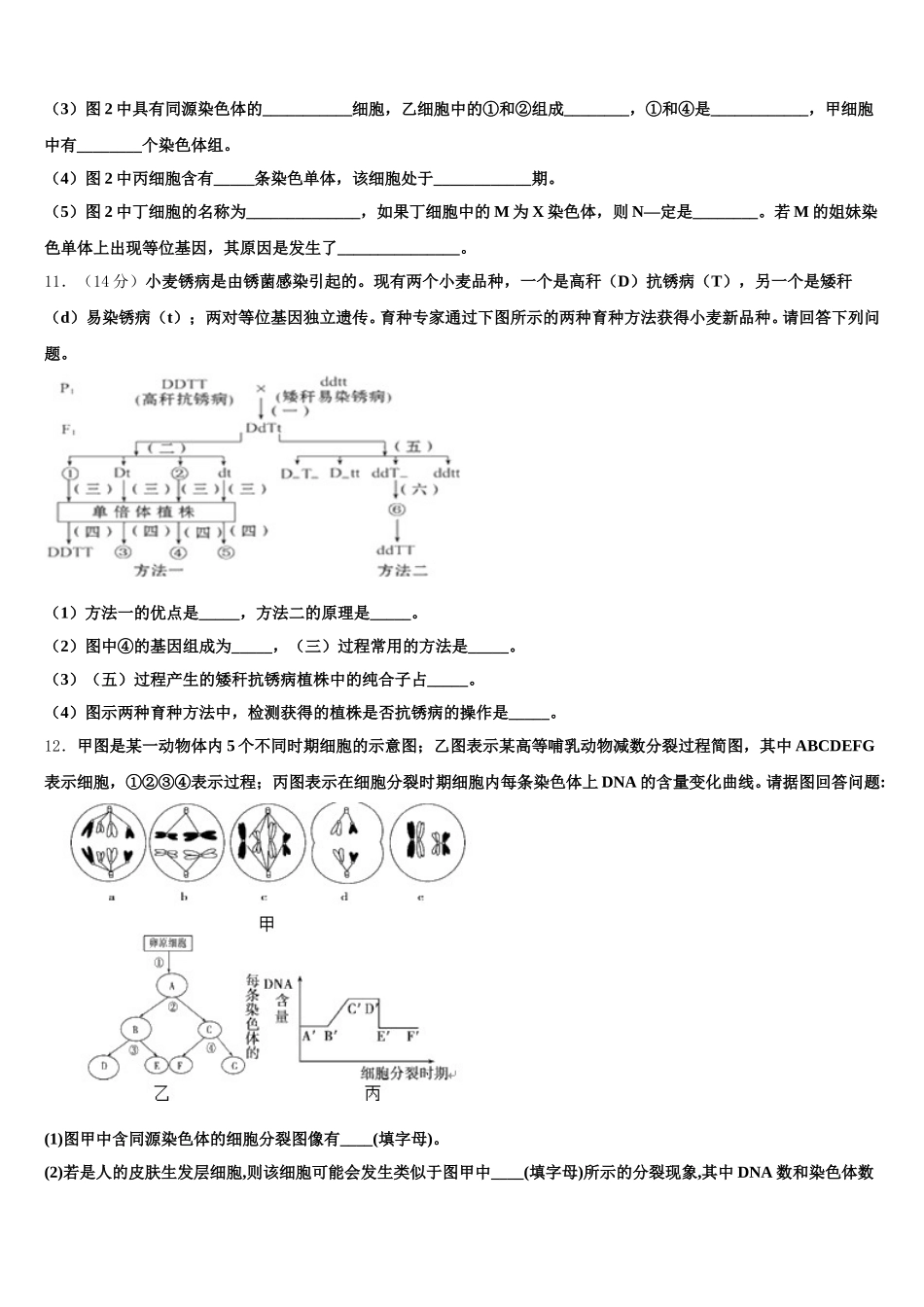 河北省秦皇岛市卢龙县中学2024-2025学年生物高一下期末复习检测试题含解析_第3页
