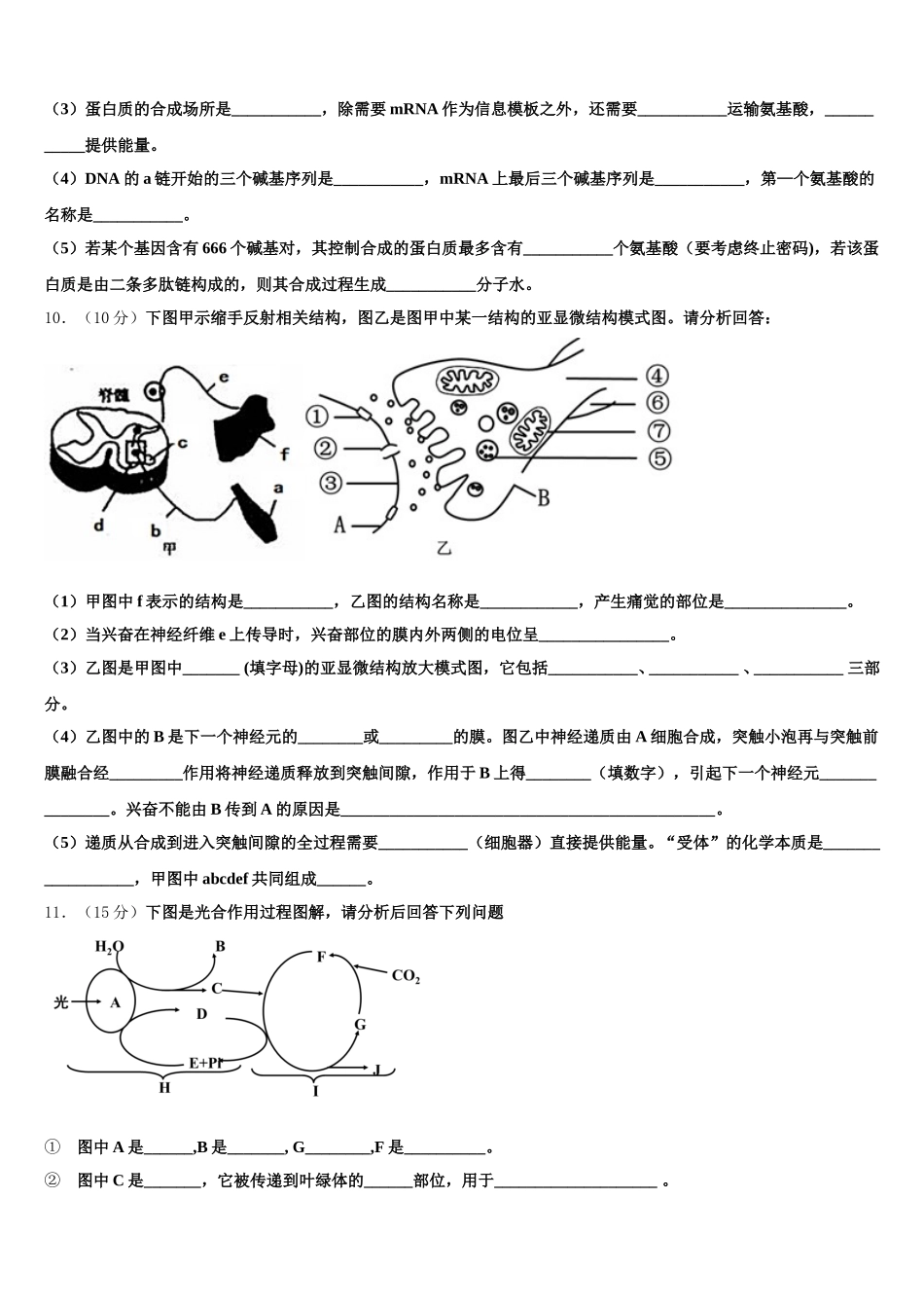 2024-2025学年河北省衡中同卷高一生物第二学期期末学业质量监测试题含解析_第3页