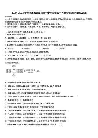 2024-2025学年河北省鹿泉县第一中学生物高一下期末学业水平测试试题含解析