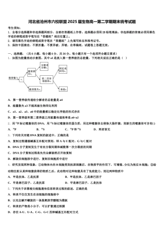 河北省沧州市六校联盟2025届生物高一第二学期期末统考试题含解析
