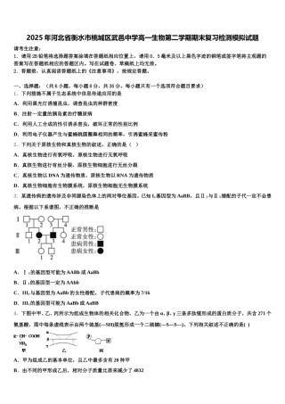 2025年河北省衡水市桃城区武邑中学高一生物第二学期期末复习检测模拟试题含解析