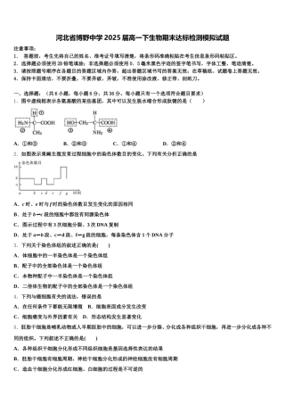 河北省博野中学2025届高一下生物期末达标检测模拟试题含解析