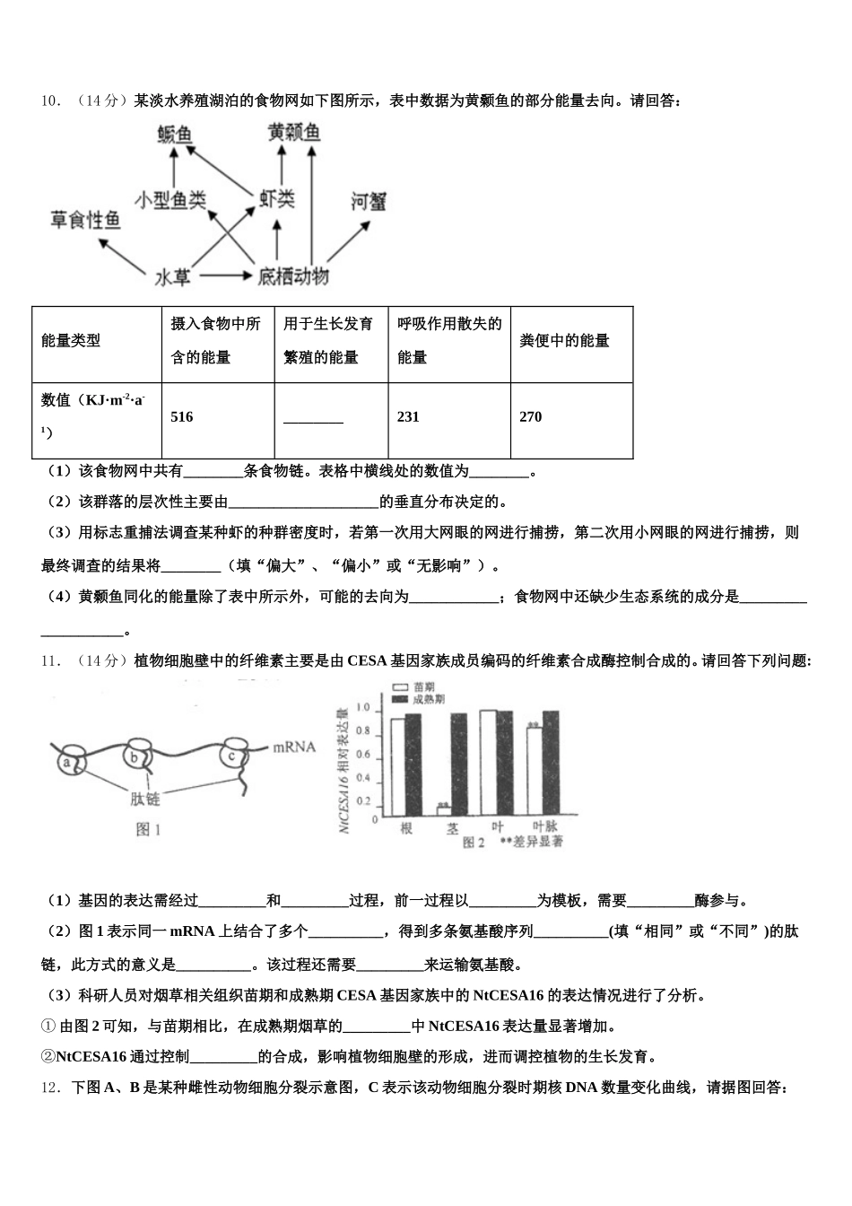 2025年河北省石家庄市晋州市第一中学生物高一下期末教学质量检测模拟试题含解析_第3页