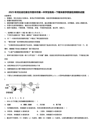 2025年河北省石家庄市晋州市第一中学生物高一下期末教学质量检测模拟试题含解析