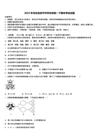 2025年河北省安平中学生物高一下期末考试试题含解析