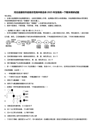 河北省廊坊市省级示范高中联合体2025年生物高一下期末调研试题含解析