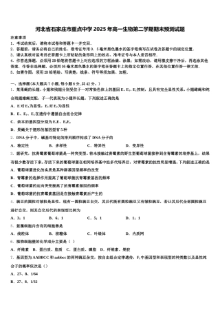 河北省石家庄市重点中学2025年高一生物第二学期期末预测试题含解析