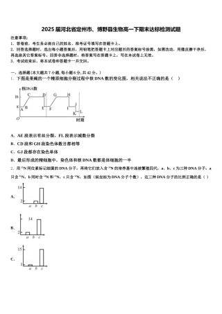 2025届河北省定州市、博野县生物高一下期末达标检测试题含解析