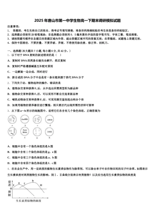 2025年唐山市第一中学生物高一下期末调研模拟试题含解析