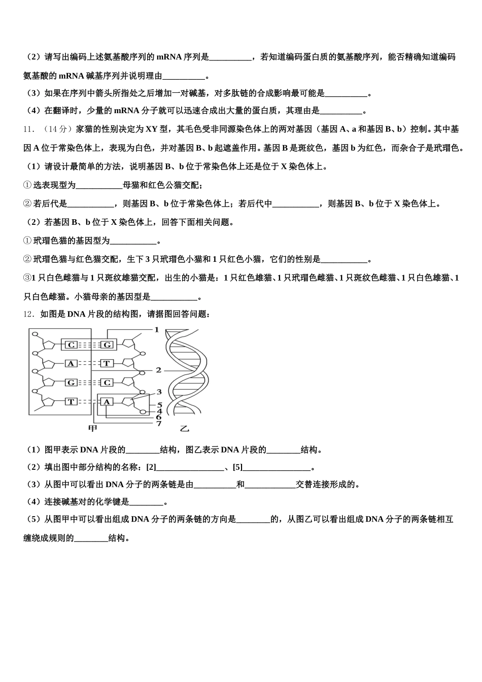 2025届河北省“名校联盟”生物高一下期末考试模拟试题含解析_第3页