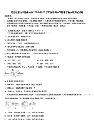 河北省唐山市遵化一中2024-2025学年生物高一下期末学业水平测试试题含解析