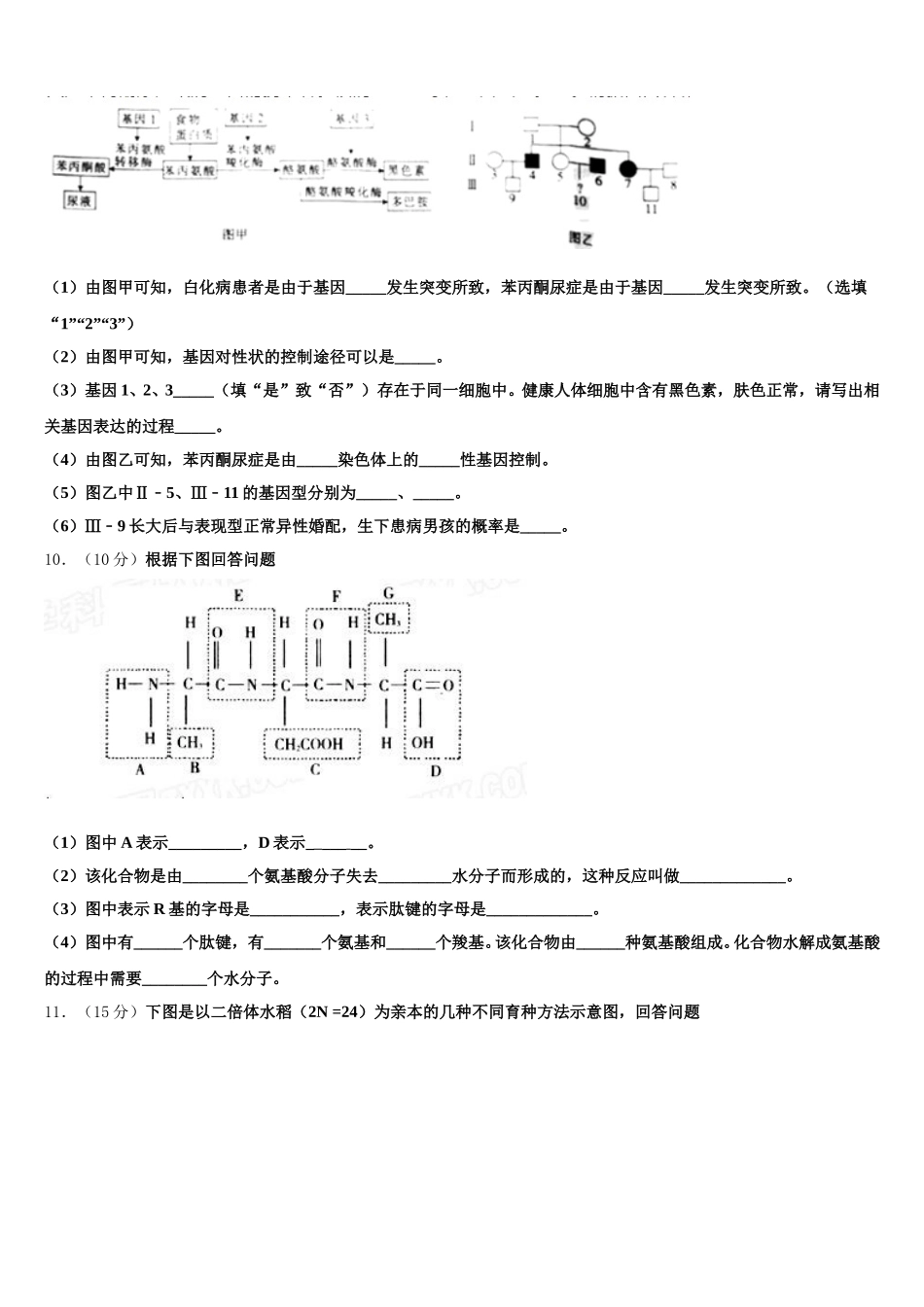 衡水市第十三中学2025年高一生物第二学期期末统考模拟试题含解析_第3页