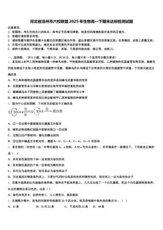 河北省沧州市六校联盟2025年生物高一下期末达标检测试题含解析