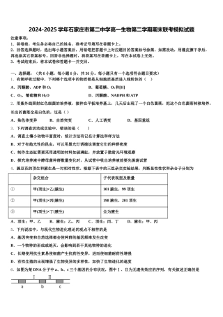 2024-2025学年石家庄市第二中学高一生物第二学期期末联考模拟试题含解析