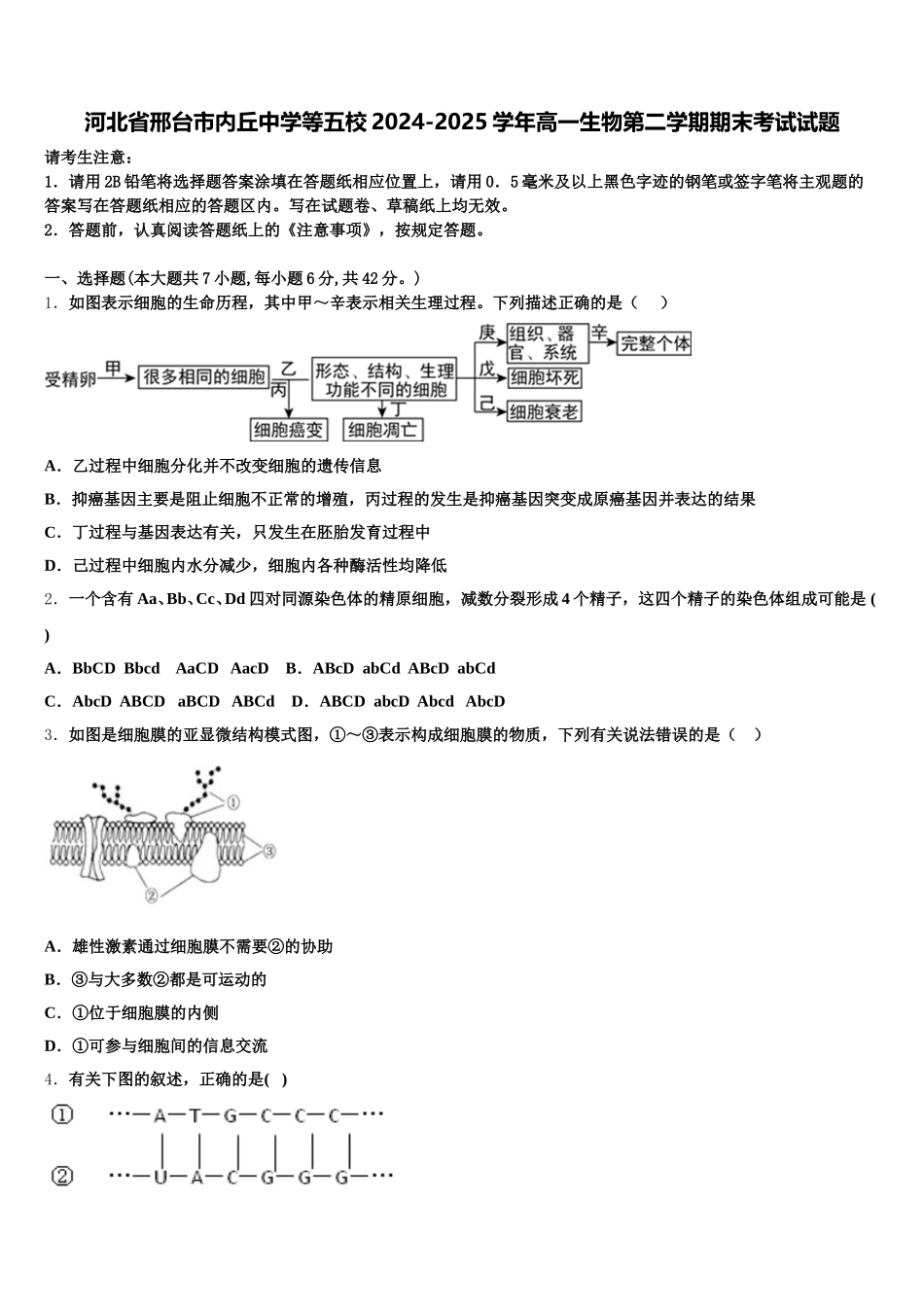 河北省邢台市内丘中学等五校2024-2025学年高一生物第二学期期末考试试题含解析_第1页