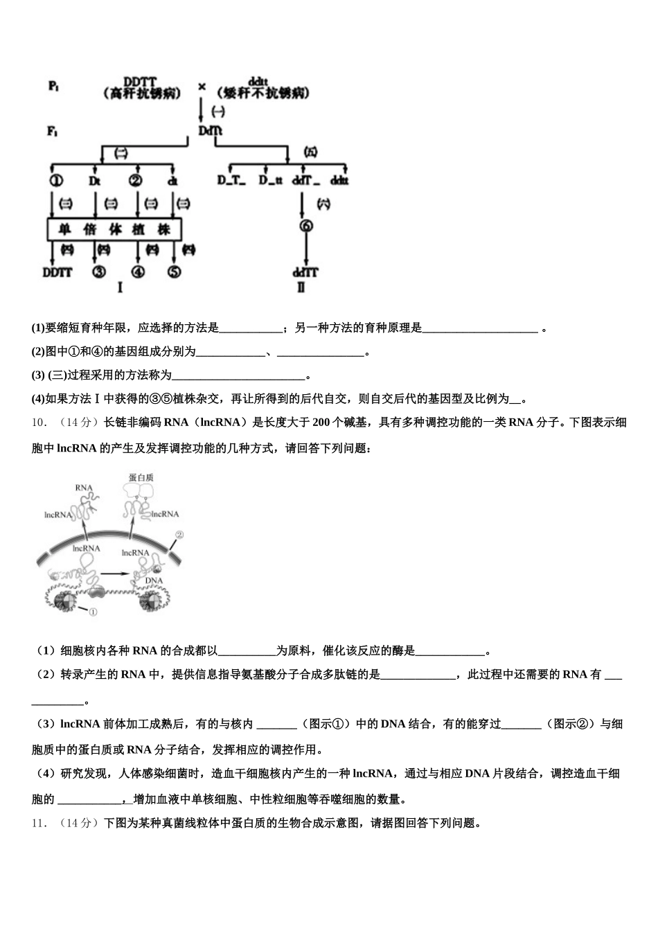2025年河北省正定县第七中学高一下生物期末经典模拟试题含解析_第3页