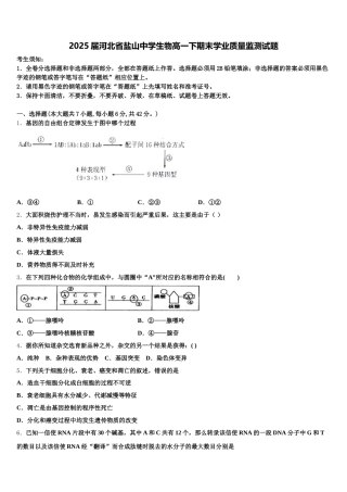 2025届河北省盐山中学生物高一下期末学业质量监测试题含解析