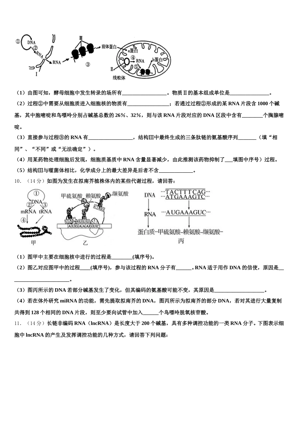2025年河北省邢台巿南和一中生物高一第二学期期末考试模拟试题含解析_第3页