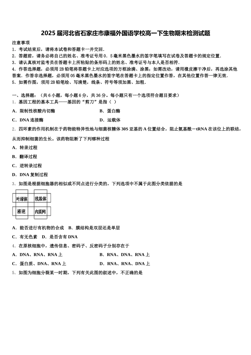 2025届河北省石家庄市康福外国语学校高一下生物期末检测试题含解析_第1页