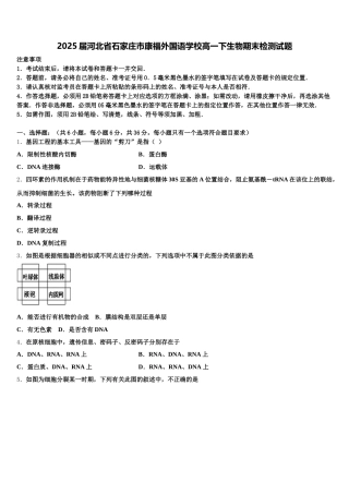 2025届河北省石家庄市康福外国语学校高一下生物期末检测试题含解析