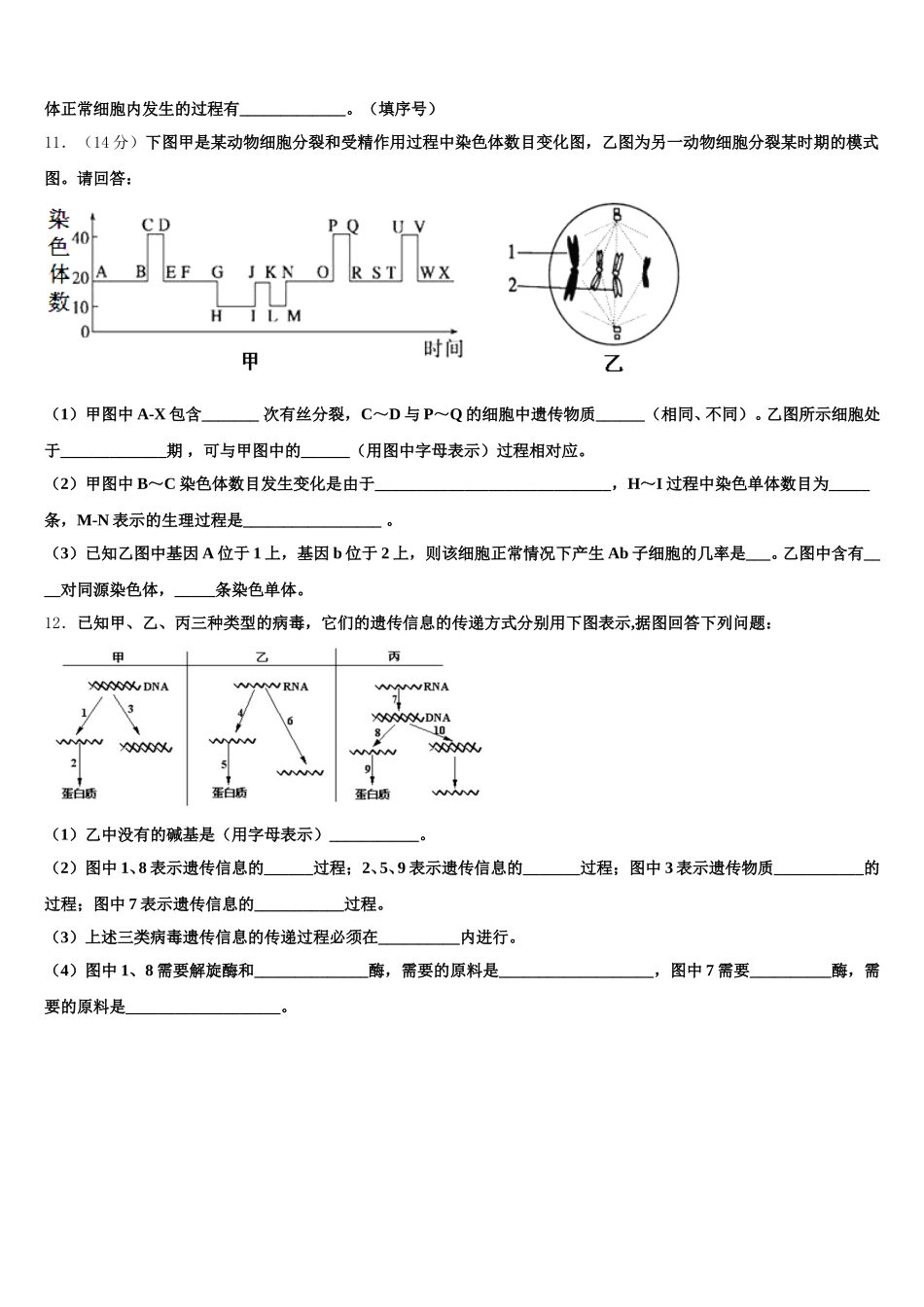 河北省石家庄市晋州一中实验班2025年高一生物第二学期期末经典模拟试题含解析_第3页