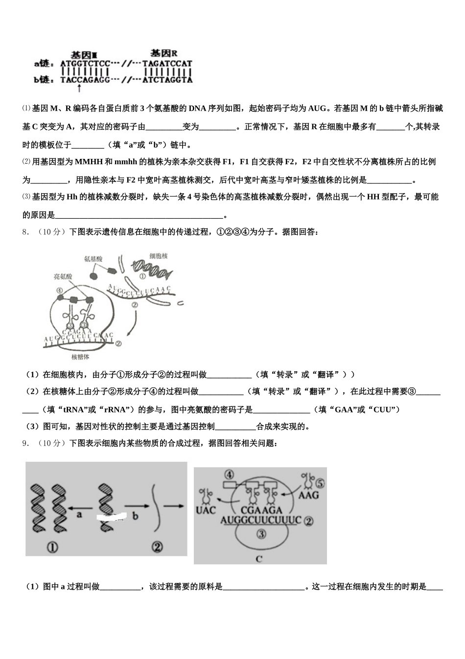 河北省衡水市深州市长江中学2025届生物高一下期末检测试题含解析_第2页
