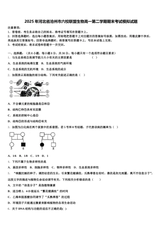 2025年河北省沧州市六校联盟生物高一第二学期期末考试模拟试题含解析