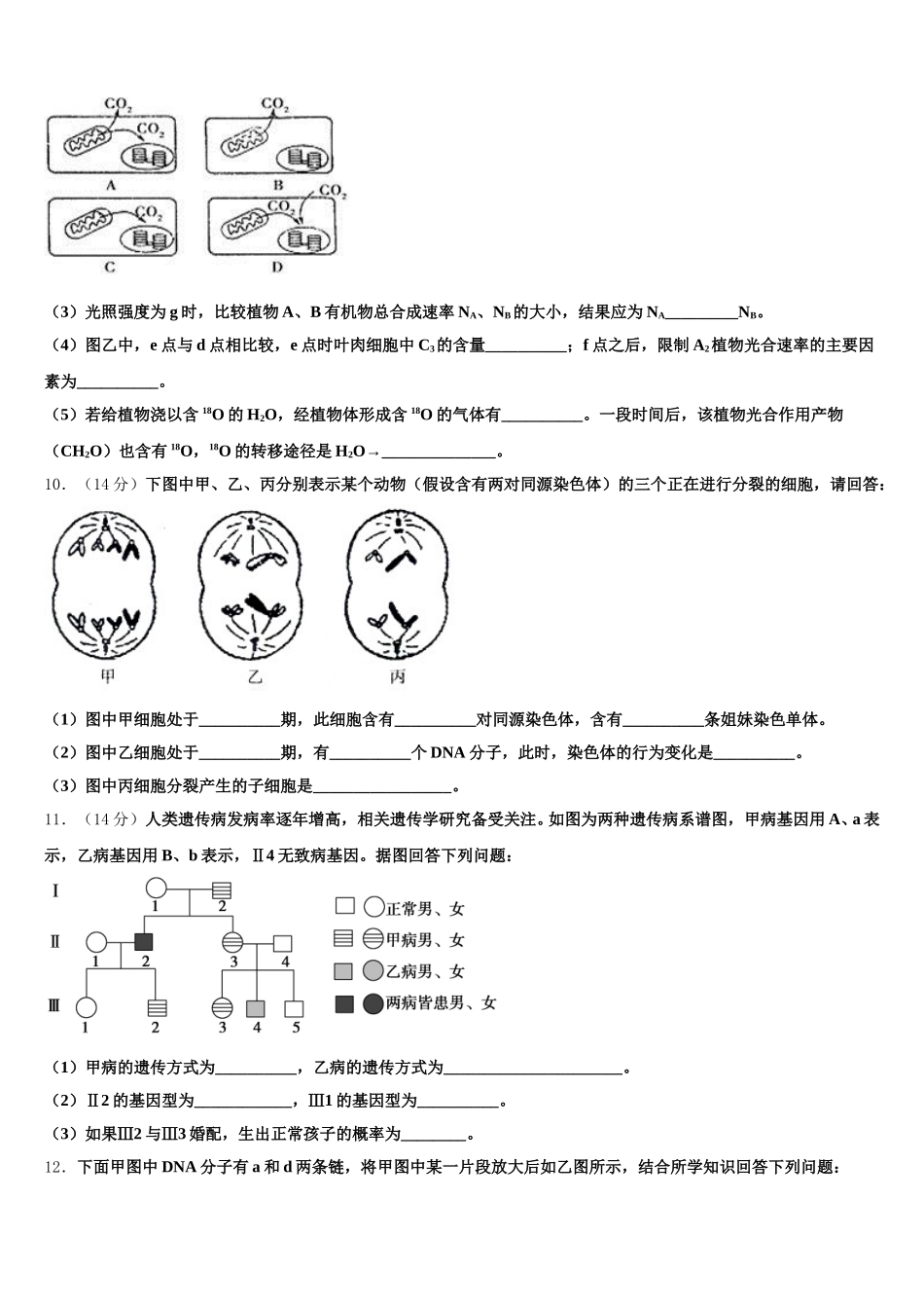 2025届河北保定市容城博奥学校高一生物第二学期期末学业质量监测试题含解析_第3页