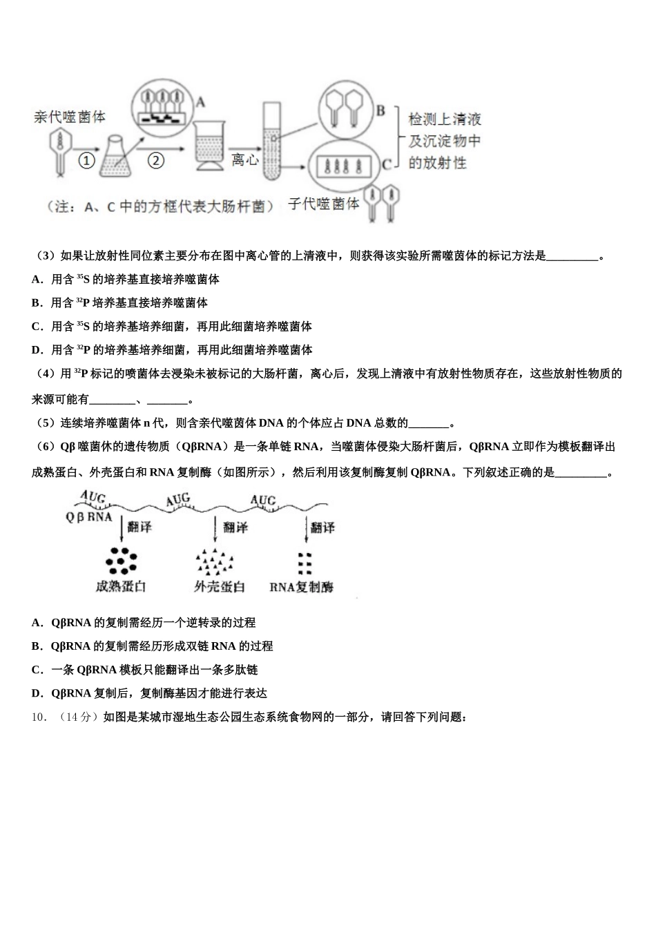 衡水市第二中学2024-2025学年高一下生物期末经典试题含解析_第3页