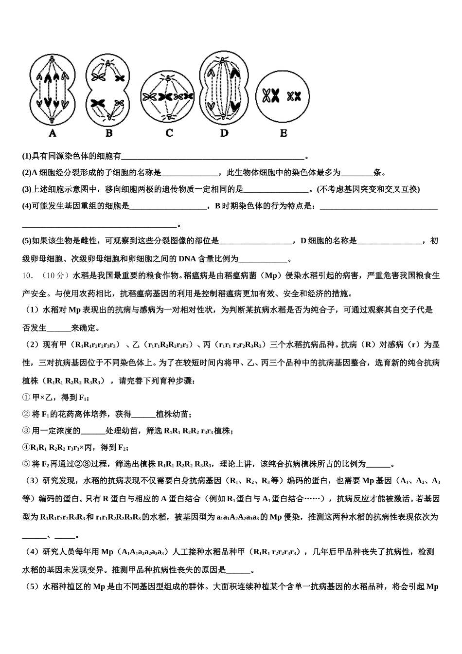 2025届河北省邢台市桥东区邢台二中高一下生物期末检测试题含解析_第3页