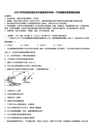 2025年河北省石家庄市行唐启明中学高一下生物期末监测模拟试题含解析
