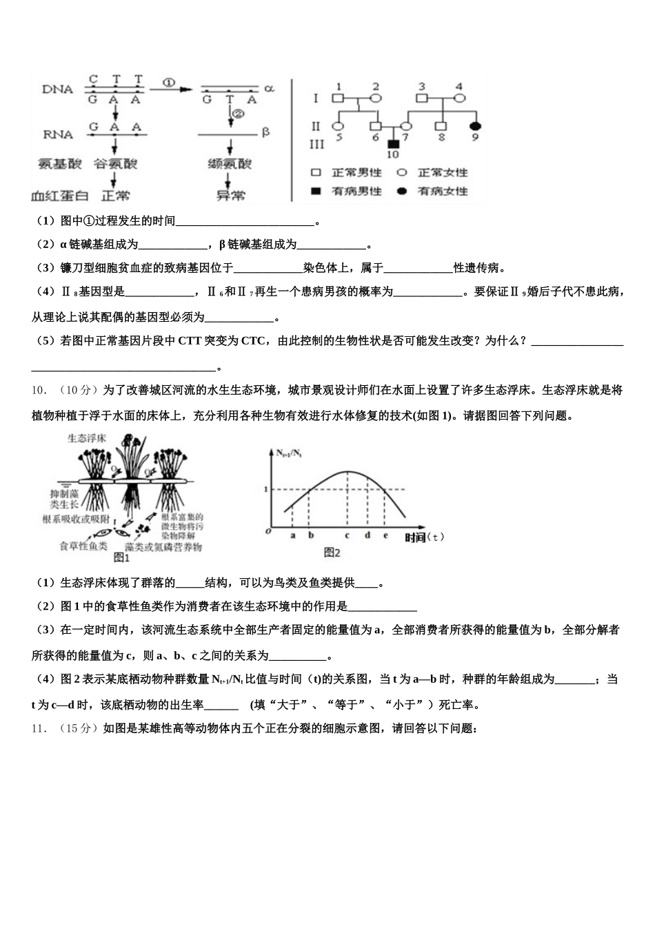 2025届河北省涿鹿县北晨学校高一生物第二学期期末考试试题含解析_第3页
