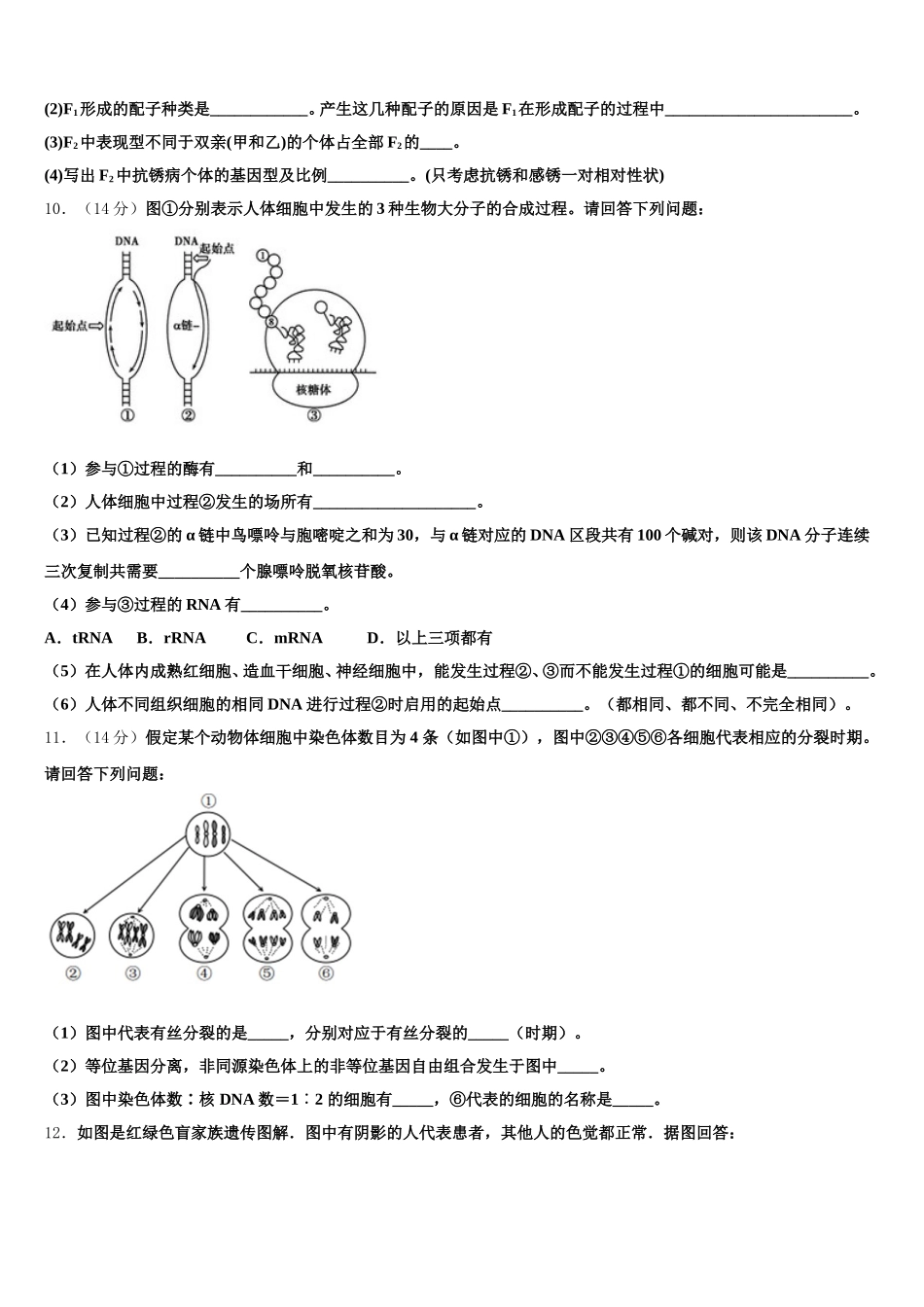 2024-2025学年河北省承德一中生物高一第二学期期末达标检测模拟试题含解析_第3页